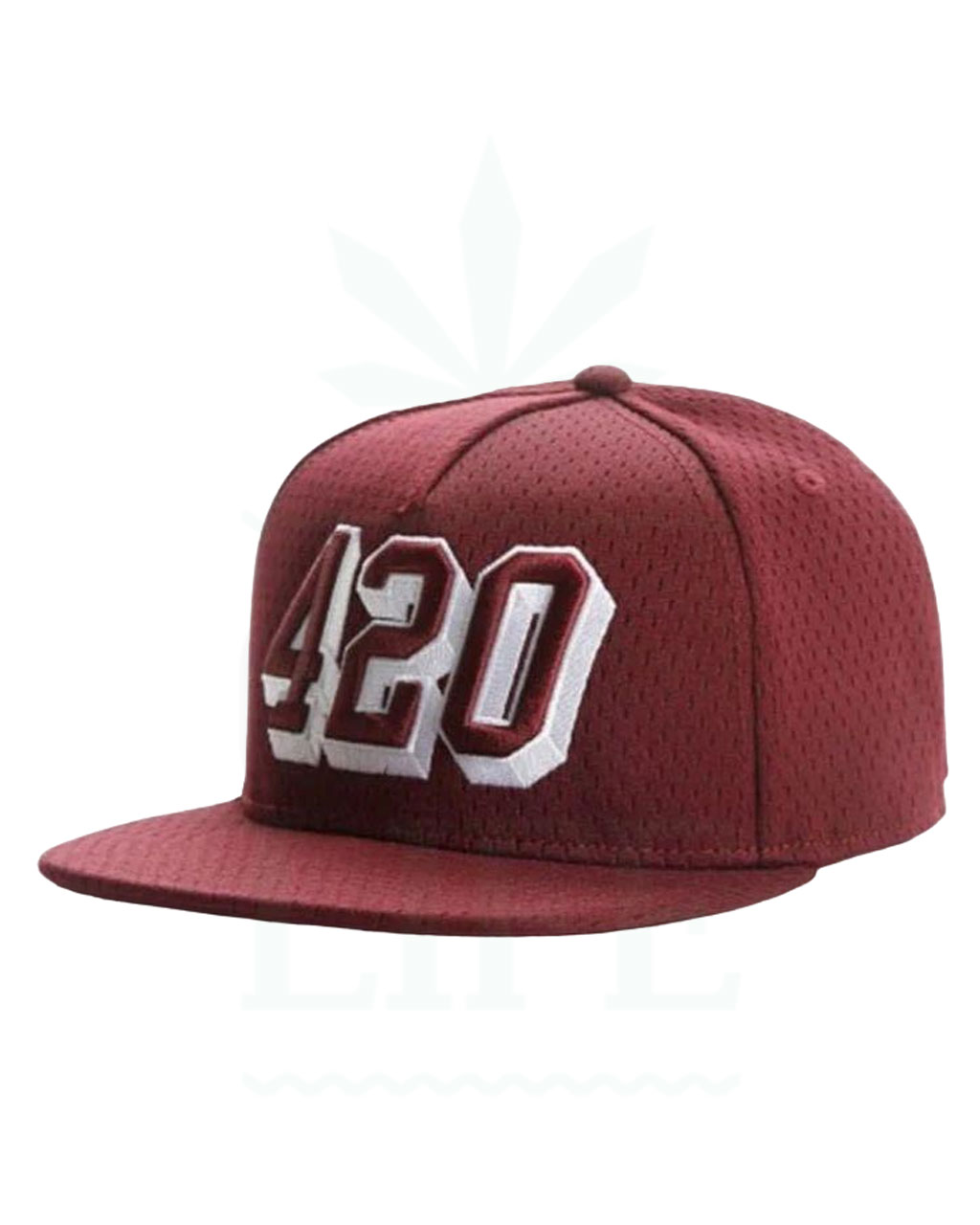 420 Snapback