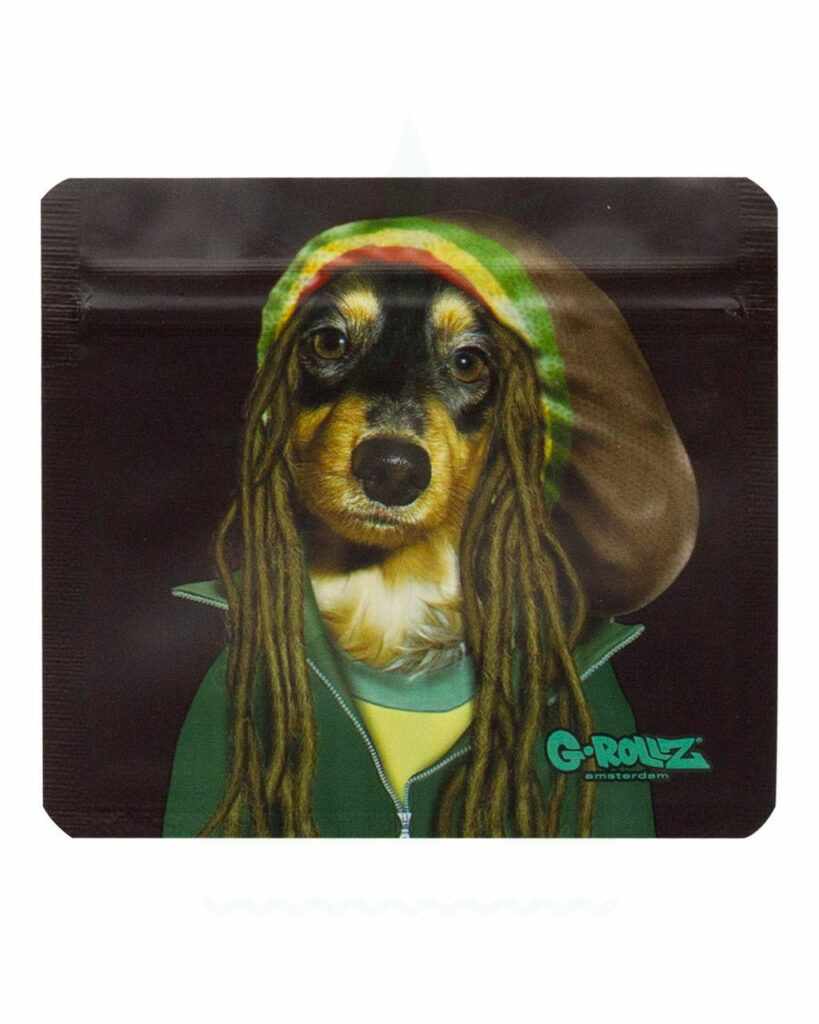 Reggae Dog