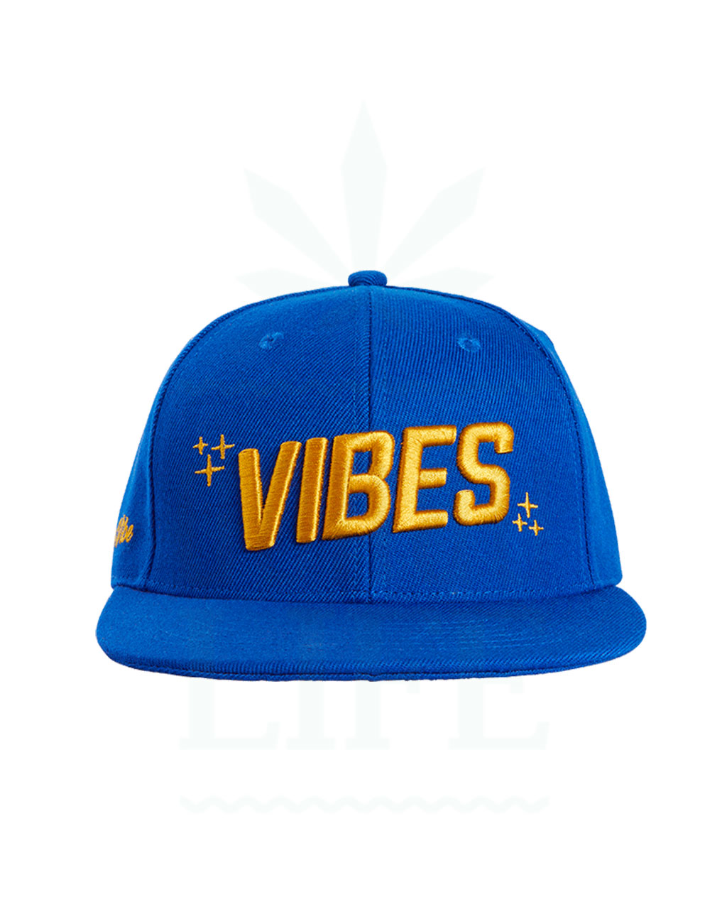 VIBES Snapback