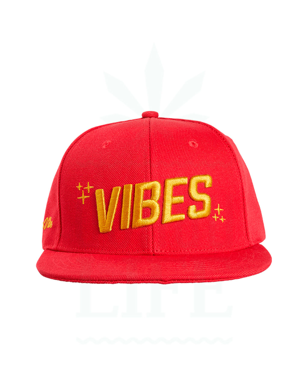 VIBES Snapback