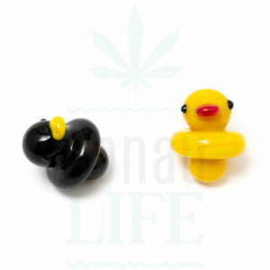 Carb Cap Duck Duck go