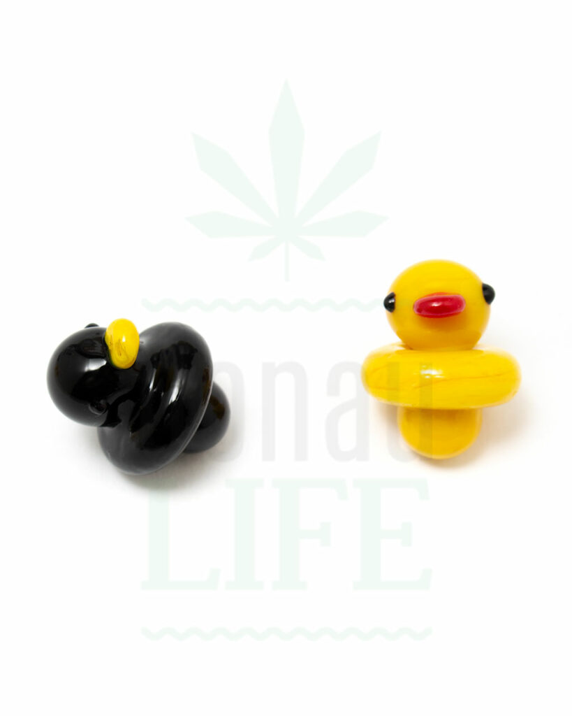 Carb Cap Duck Duck go